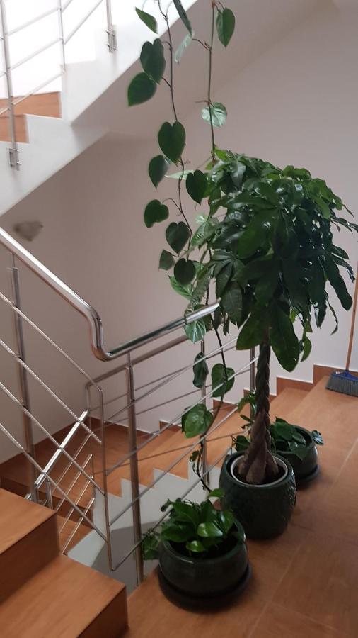 Apartment Dativo House *