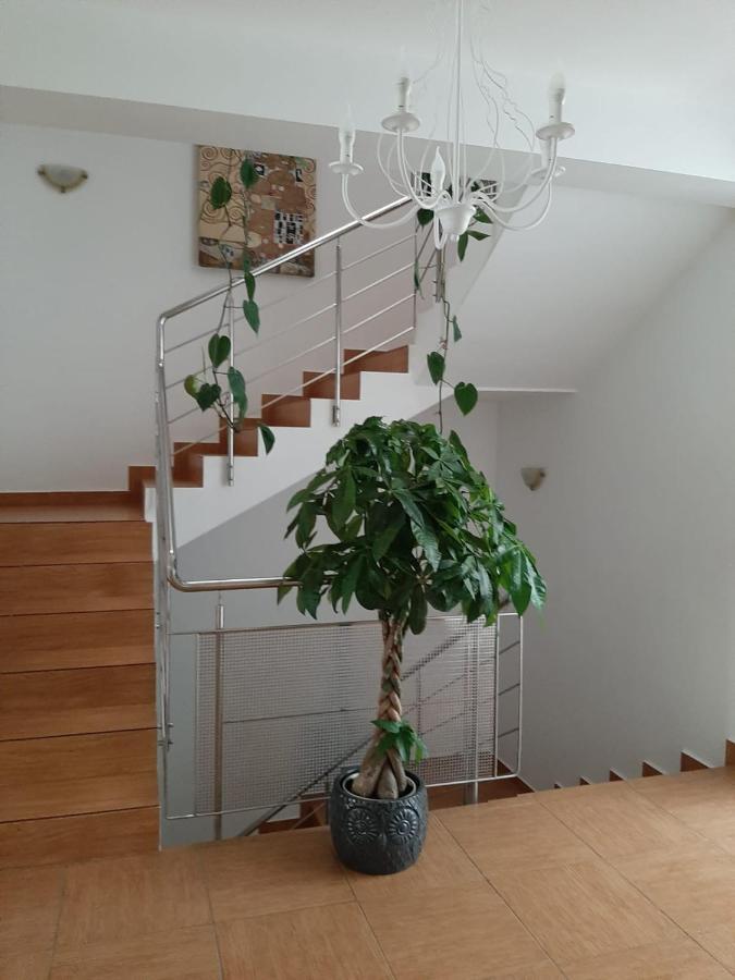 Apartment Dativo House Navodari