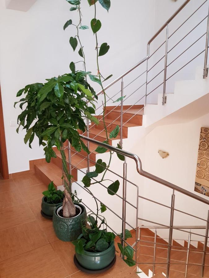 Dativo House * Navodari